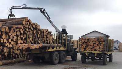 Вилучають деревину і бурштин: на Волині масові обшуки на пилорамах Вилучають деревину і бурштин: на Волині масові обшуки на пилорамах
