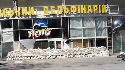 У Харкові обрали ім’я народженому під обстрілами дельфіну