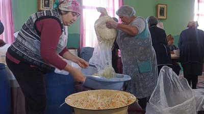 квашена капуста