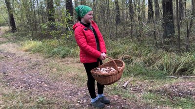 Грибний сезон на Волині: чи є врожай та які ціни в заготівельників Грибний сезон на Волині: чи є врожай та які ціни в заготівельників