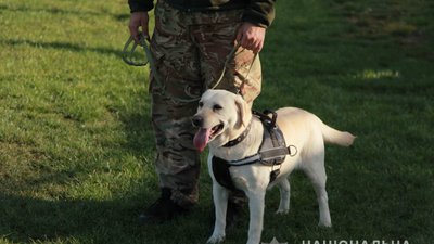 Службова собака Гера. Фото: ГУ НП у Хмельницькій області Службова собака Гера. Фото: ГУ НП у Хмельницькій області