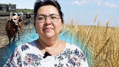 Продовольча незалежність України: який відсоток агропродукції виробляє Миколаївщина