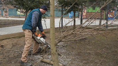 "Працюємо в темпі": як у вінницькому зоопарку зводять зимівник та вольєри для тварин