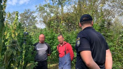 На Закарпатті правоохоронці виявили плантацію коноплі з системою поливу На Закарпатті правоохоронці виявили плантацію коноплі з системою поливу