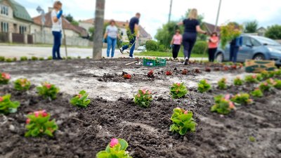 На клумбах біля пам'ятника Міцкевичу висадили квіти