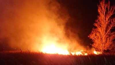 Чотири пожежі за добу: на Сумщині гасили сухостій та смітники