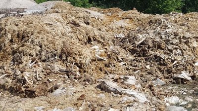 На Київщині підприємець викидав туші померлих тварин у лісах і отруїв 1,3 га земель
