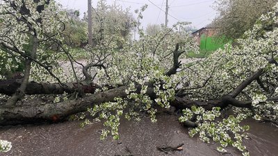 Гроза буря Кропивницький 15 квітня
