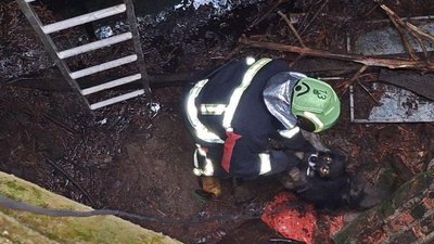 На Волині врятували пса, який впав у яму глибиною п'ять метрів На Волині врятували пса, який впав у яму глибиною п'ять метрів