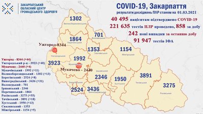 За добу на Закарпатті підтвердили 242 випадки захворювання на коронавірус За добу на Закарпатті підтвердили 242 випадки захворювання на коронавірус