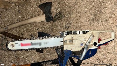 На Миколаївщині затримали "чорних" лісорубів за незаконну вирубку дерев — поліція На Миколаївщині затримали "чорних" лісорубів за незаконну вирубку дерев — поліція