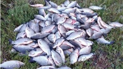 Поліцейські Херсонщини зловили браконьєра з незаконним уловом риби