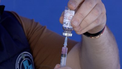 У Вінниці безкоштовно вакцинують домашніх котів та собак від сказу У Вінниці безкоштовно вакцинують домашніх котів та собак від сказу