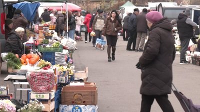 Волоські горіхи: чи вродили на Волині та яка ціна на ринках Волоські горіхи: чи вродили на Волині та яка ціна на ринках