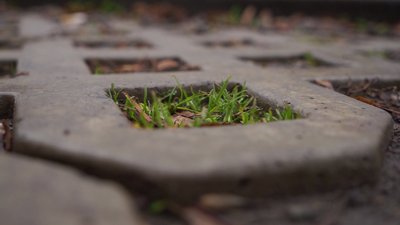 Бетонні решітки замість асфальту: у Харкові облаштують 200 екопарковок