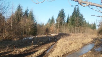 Надзвичайники знайшли мертвим дідуся, який загубився у лісі на Прикарпатті