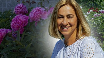 Мяя Грищук, півонії, Волинь, Ощів, півонієве поле, сорти півоній, квіти, квітникарство