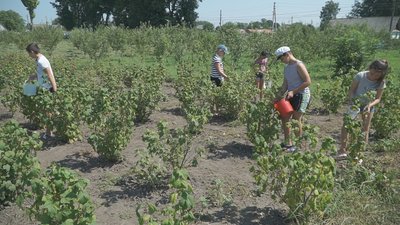 У школах та садочках Калинівської громади на Вінниччині заготовляють їжу на зиму У школах та садочках Калинівської громади на Вінниччині заготовляють їжу на зиму
