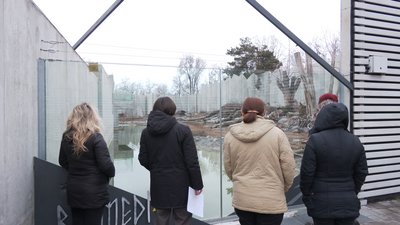 ведмеді прокинулися ведмеді прокинулися