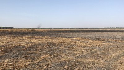 На Полтавщині гасять 2 гектари торфовища На Полтавщині гасять 2 гектари торфовища
