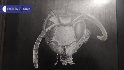 "Планета звірів". Виставку графіки презентував у Сумах художник Ігор Кислий "Планета звірів". Виставку графіки презентував у Сумах художник Ігор Кислий