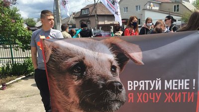 На Житомирщині зоозахисники протестували під судом, де розглядають справу про катування тварин На Житомирщині зоозахисники протестували під судом, де розглядають справу про катування тварин