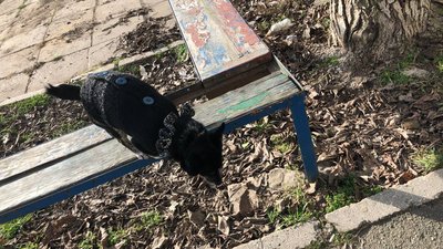 Життя під обстрілами. Жителі Очакова, що на Миколаївщині, розповіли про свою "буденність" Життя під обстрілами. Жителі Очакова, що на Миколаївщині, розповіли про свою "буденність"