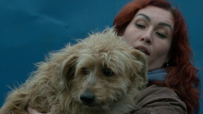 Черкаські волонтери врятували собак із Херсона Черкаські волонтери врятували собак із Херсона