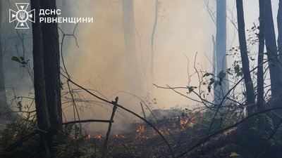 Лісова пожежа у Сарненському районі