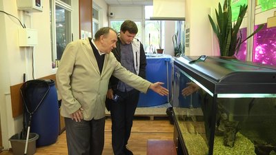 "Житомирводоканал" має провести зариблення річки Тетерів після скидів у водойму неочищених стоків "Житомирводоканал" має провести зариблення річки Тетерів після скидів у водойму неочищених стоків