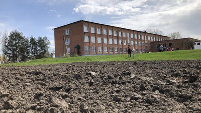 Проєкт «Посади»: на Полтавщині можна отримати безплатне насіння городини та квітів