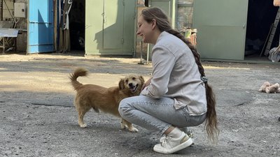 У музеї в Дніпрі живе пухнастий "працівник" пес Рудольф У музеї в Дніпрі живе пухнастий "працівник" пес Рудольф