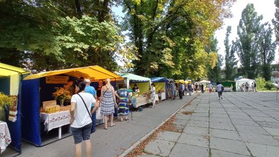 Бджолярі Полтавщини зібрали на 25% менше меду Бджолярі Полтавщини зібрали на 25% менше меду