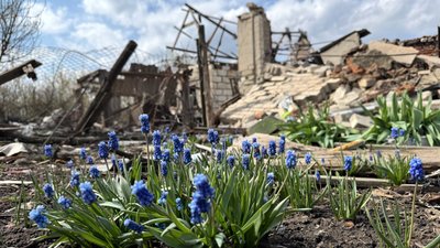 Село Некременне, Олександрівське громада, 11 квітня 2026 року