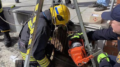 Були на глибині 10 метрів. У Дніпрі врятували каченят за колектора стічних вод Були на глибині 10 метрів. У Дніпрі врятували каченят за колектора стічних вод