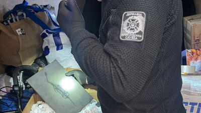 Скелет рептилії