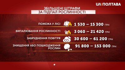 Графіка: штрафи за підпали Графіка: штрафи за підпали