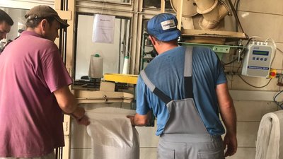 Переробка гречки на підприємстві Переробка гречки на підприємстві