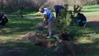 У Миколаєві містяни та працівники ДЖКГ висадили близько тисячі дерев У Миколаєві містяни та працівники ДЖКГ висадили близько тисячі дерев