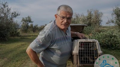 В Одесі врятованого єнотоподібного собаку відпустили на волю В Одесі врятованого єнотоподібного собаку відпустили на волю