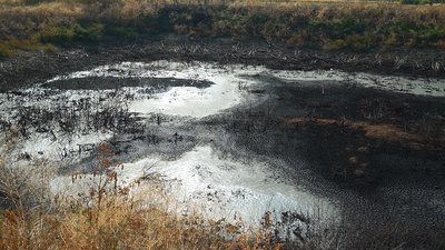 Забруднення від спиртзаводу Забруднення від спиртзаводу