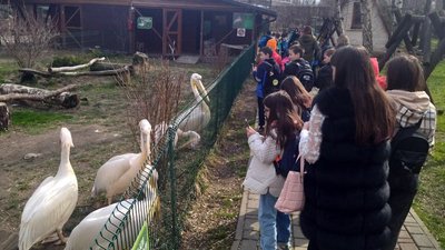 У Луцькому зоопарку відновили екскурсії У Луцькому зоопарку відновили екскурсії