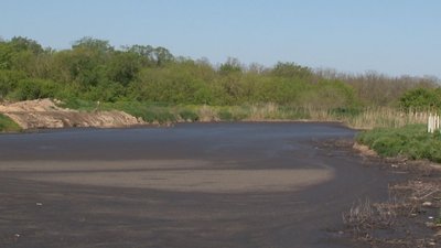 Жителі Черкащини скаржаться на відходи свинокомплексу Жителі Черкащини скаржаться на відходи свинокомплексу