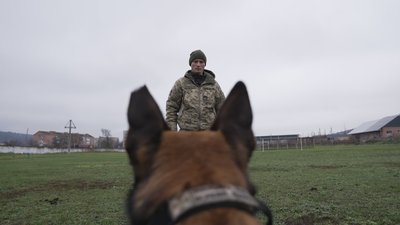 Собака, пес, кінолог