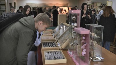 У Луцьку показали колекцію метеликів та жуків У Луцьку показали колекцію метеликів та жуків