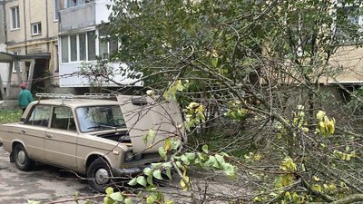 Рятувальники розповіли про наслідки негоди на Вінниччині Рятувальники розповіли про наслідки негоди на Вінниччині