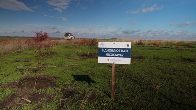 Відновлення лісу на Миколаївщині