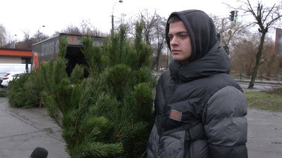 Чи є у Рівному попит на хвойні перед святами та які дерева обирають Чи є у Рівному попит на хвойні перед святами та які дерева обирають