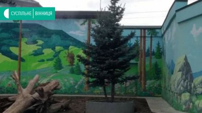 У Подільському зоопарку висадили семиметрову ялинку - для ведмедів