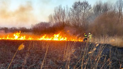 Пожежа у Вінницькій області, загинула жінка